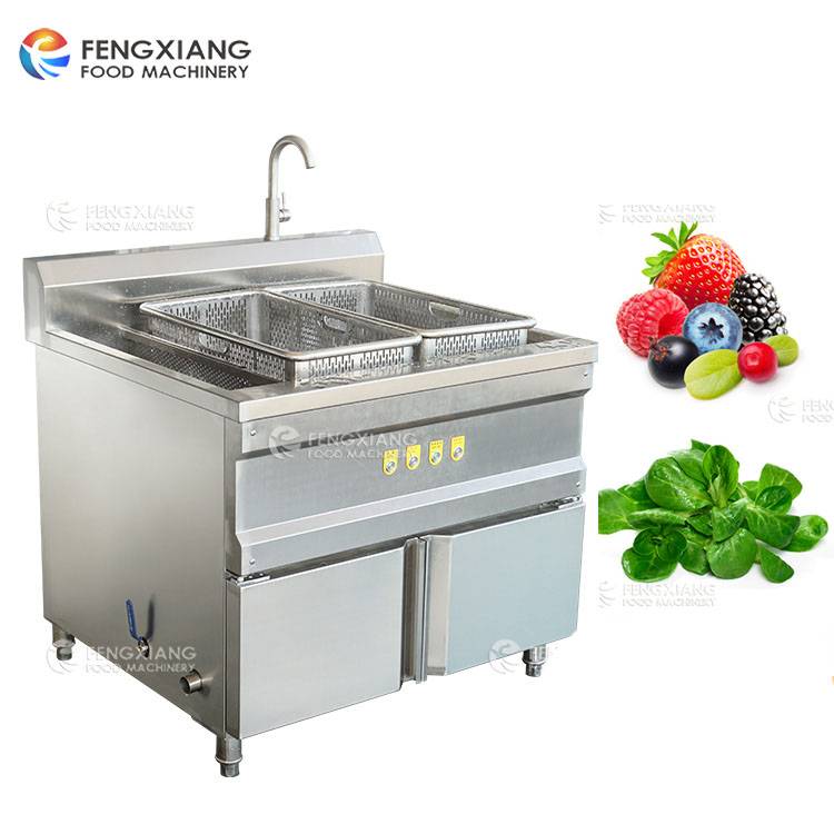 Fengxiang Wasc-10 Commercial Multifunctional Vegetable Washing Machine Food Washer